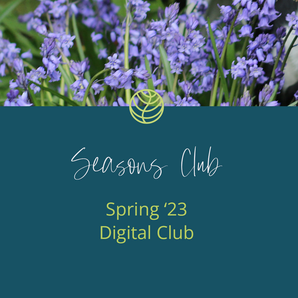 Spring Seasons Club 23 | Digital Option