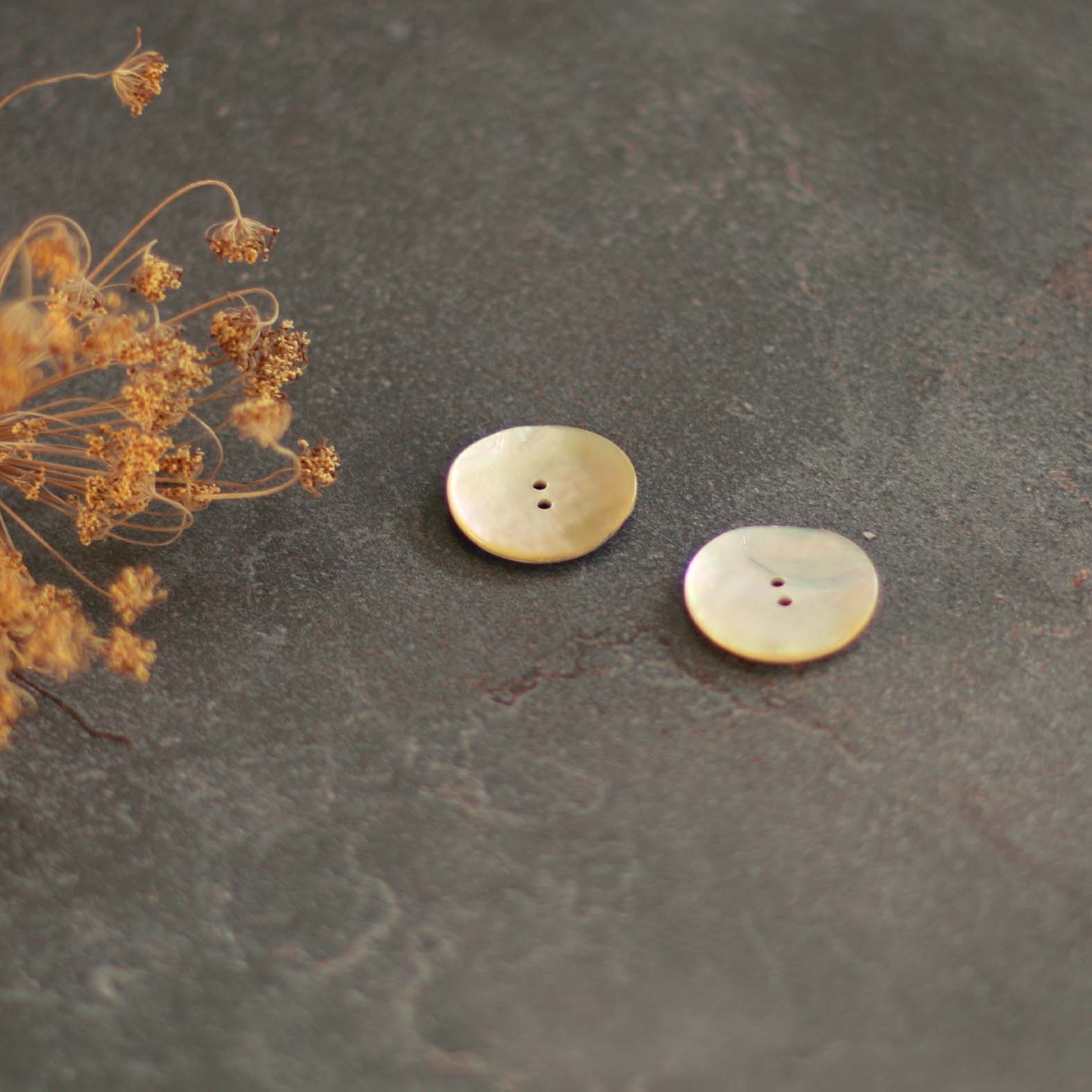 28mm Mother of Pearl Button | Set of 2