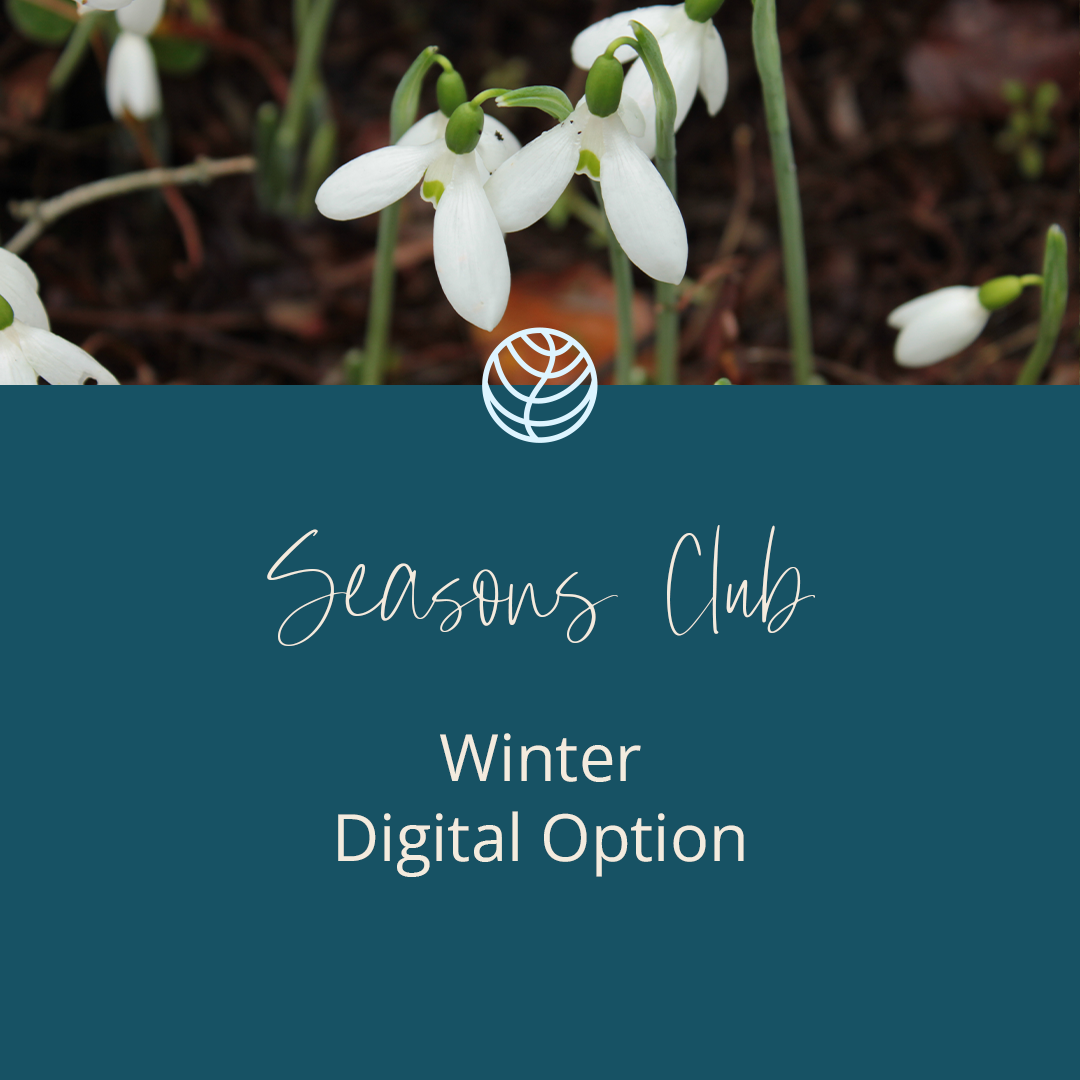 Winter Seasons Club 22-23 | Digital Option