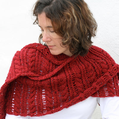 Contemporary Irish Knits - Stolen Stitches