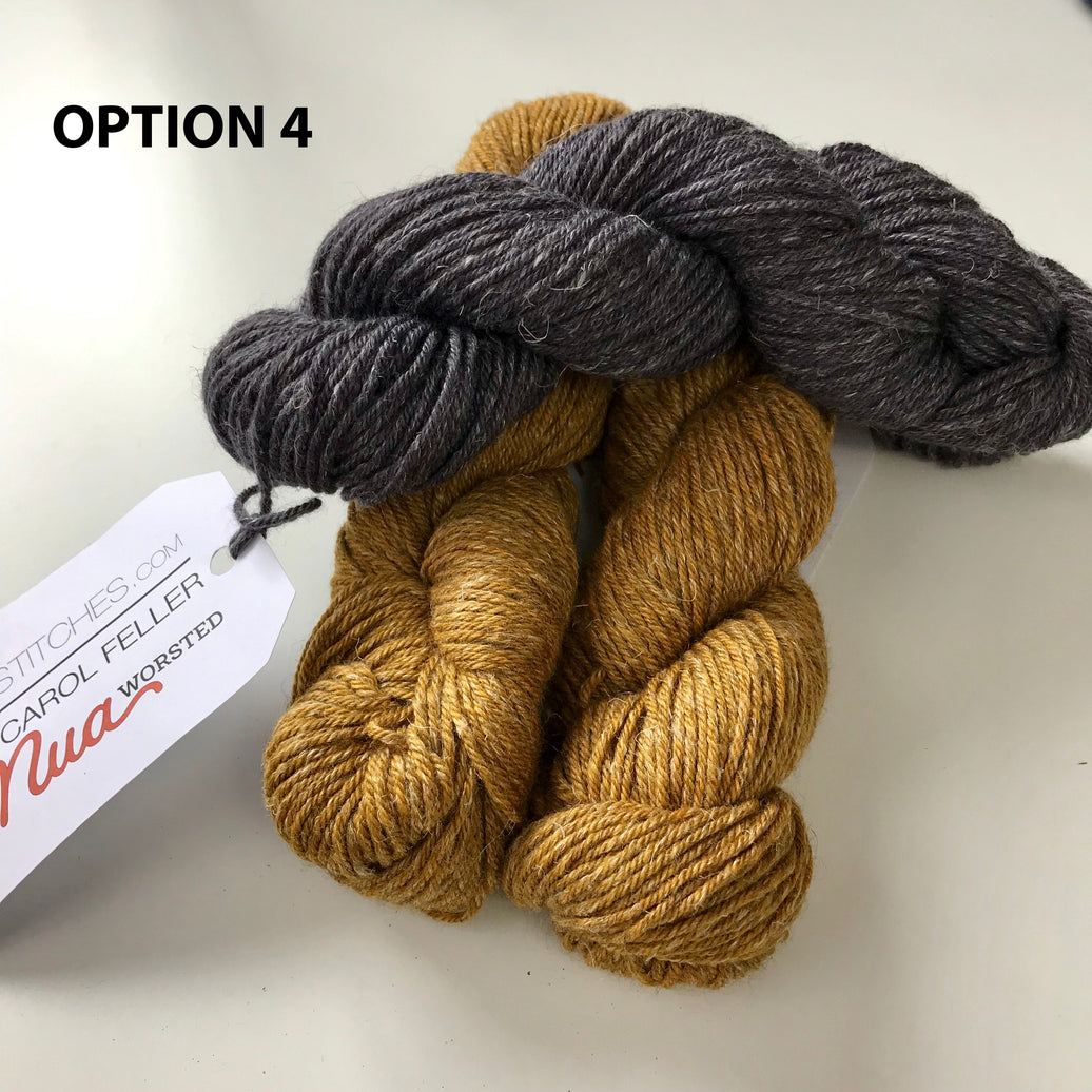 Caelius Yarn Kit